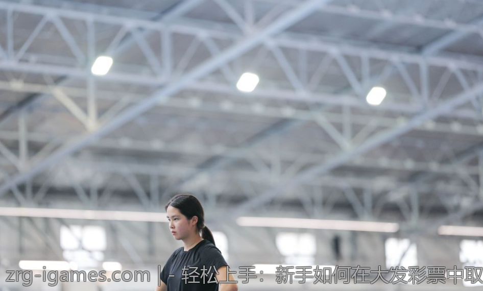 - 轻松上手：新手如何在大发彩票中取胜